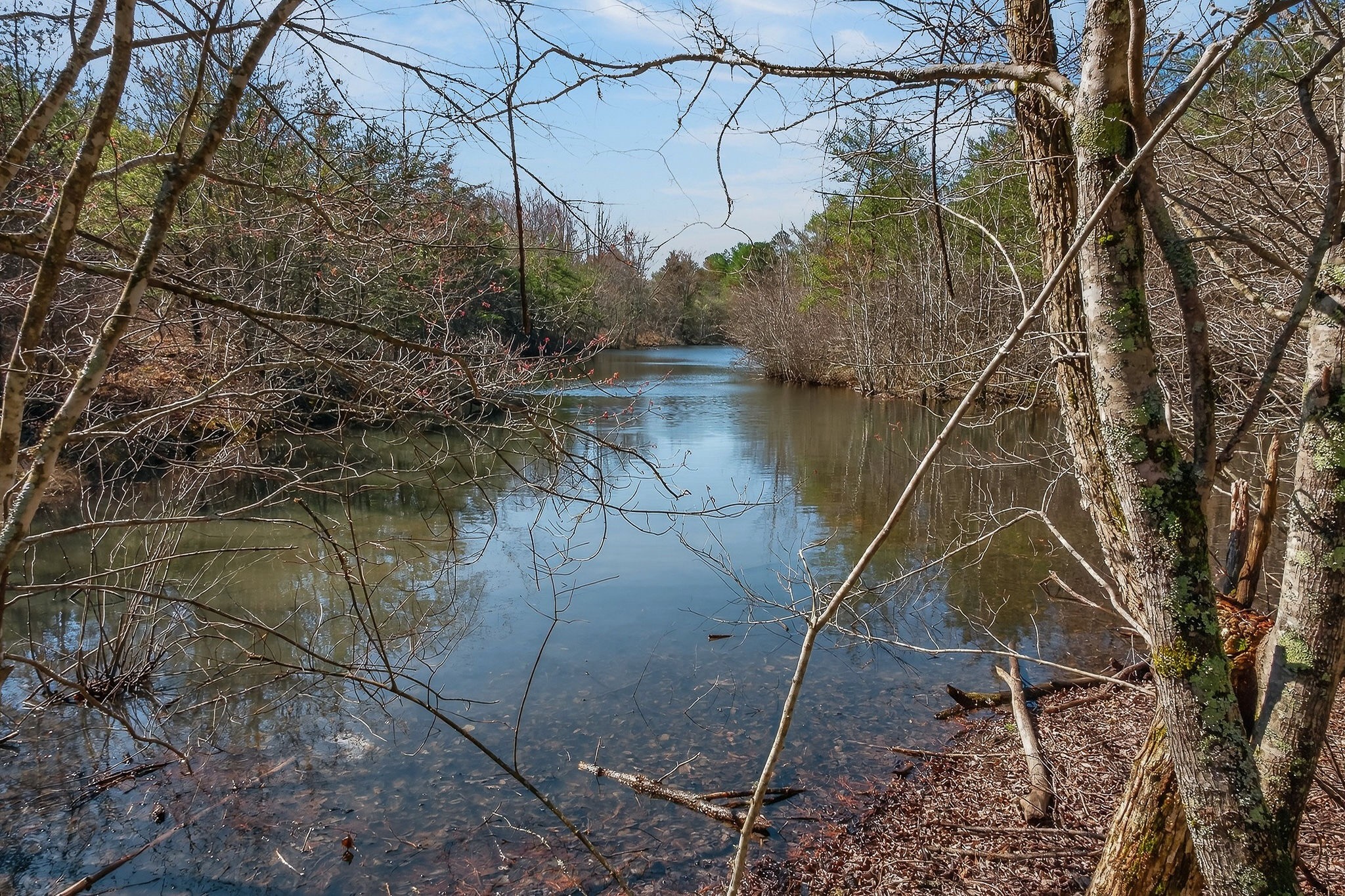 0 Rocky River Road Spencer, TN 38585 - Photo 22 of 60