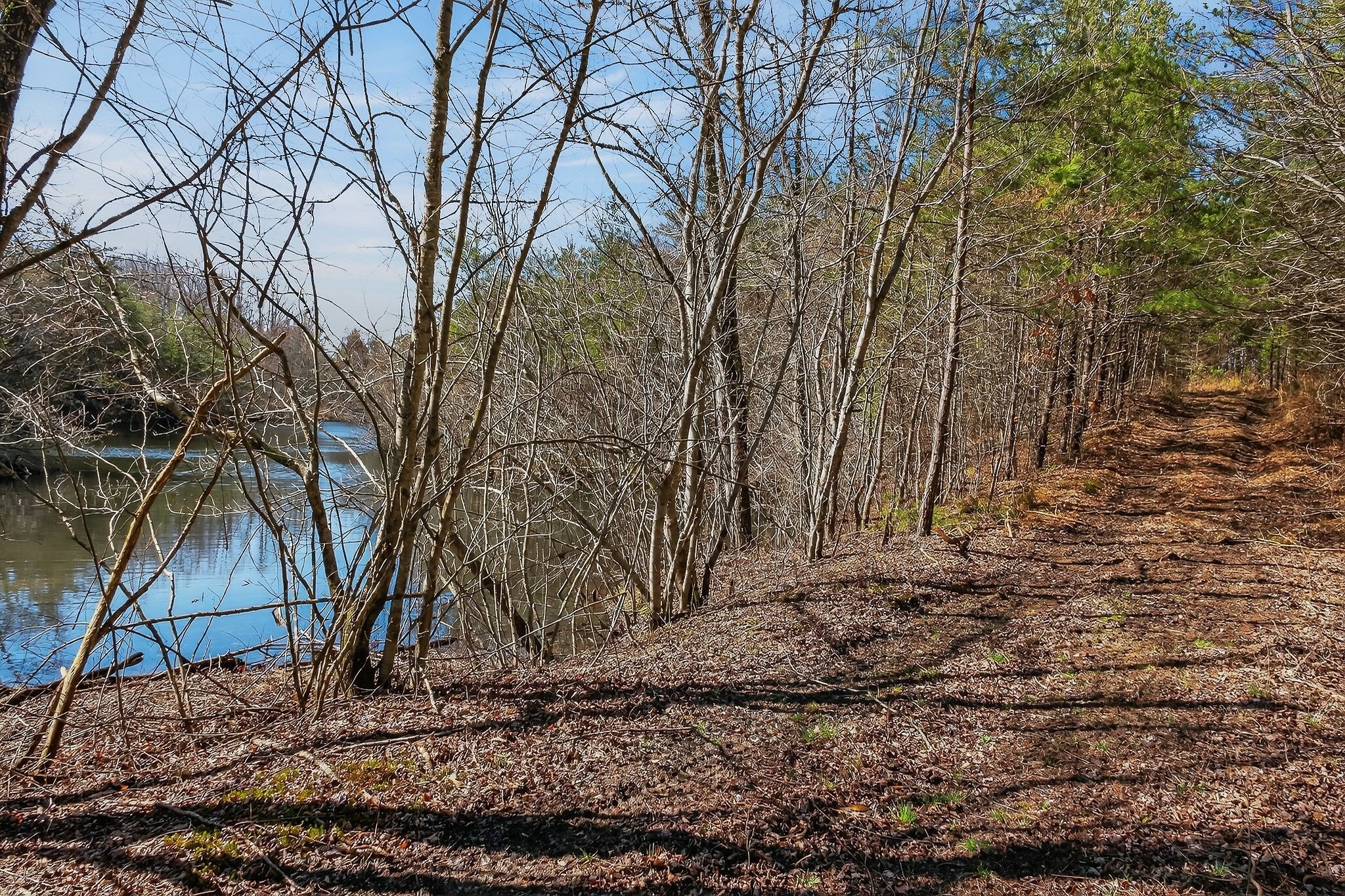 0 Rocky River Road Spencer, TN 38585 - Photo 23 of 60