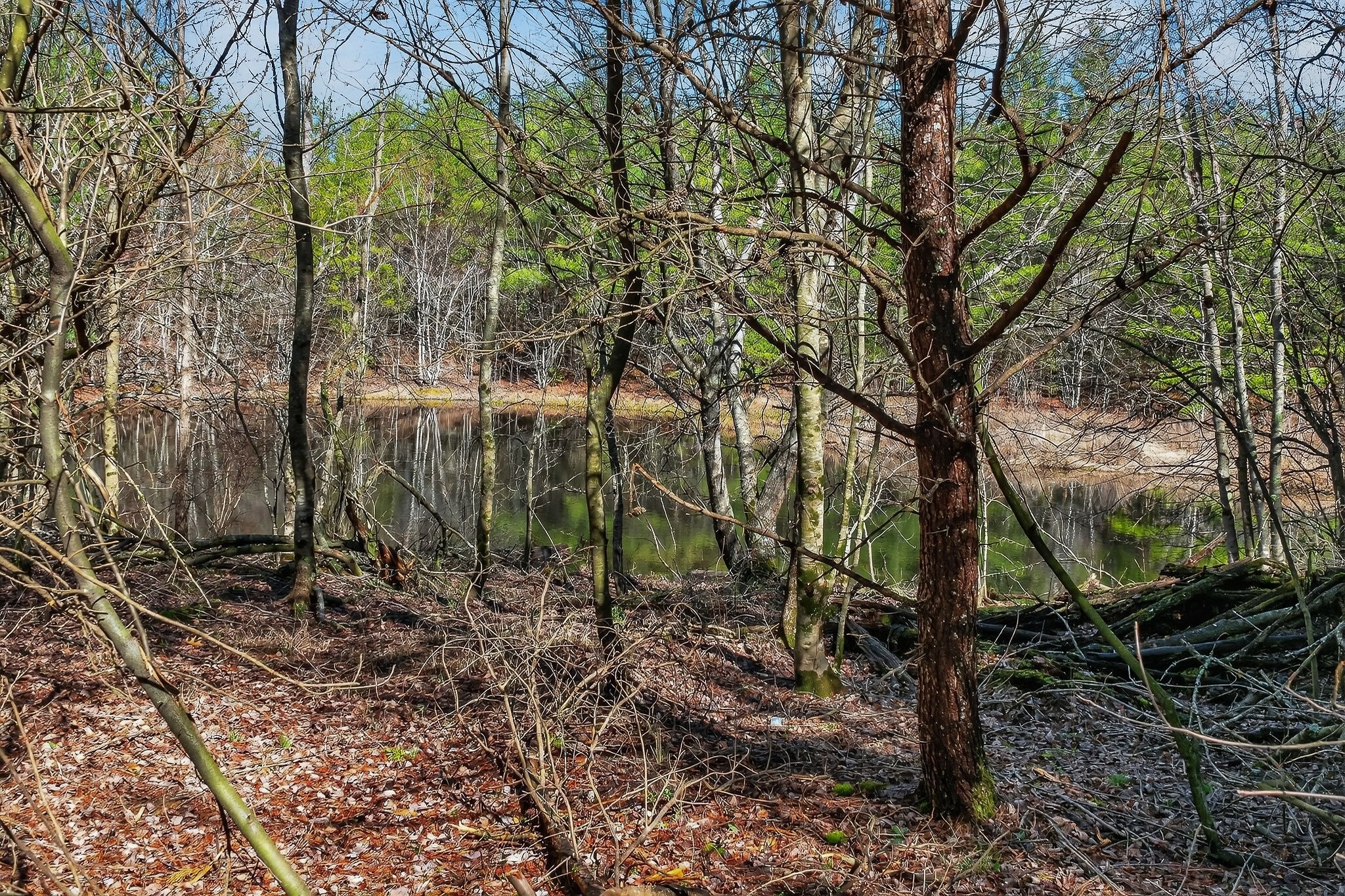0 Rocky River Road Spencer, TN 38585 - Photo 24 of 60