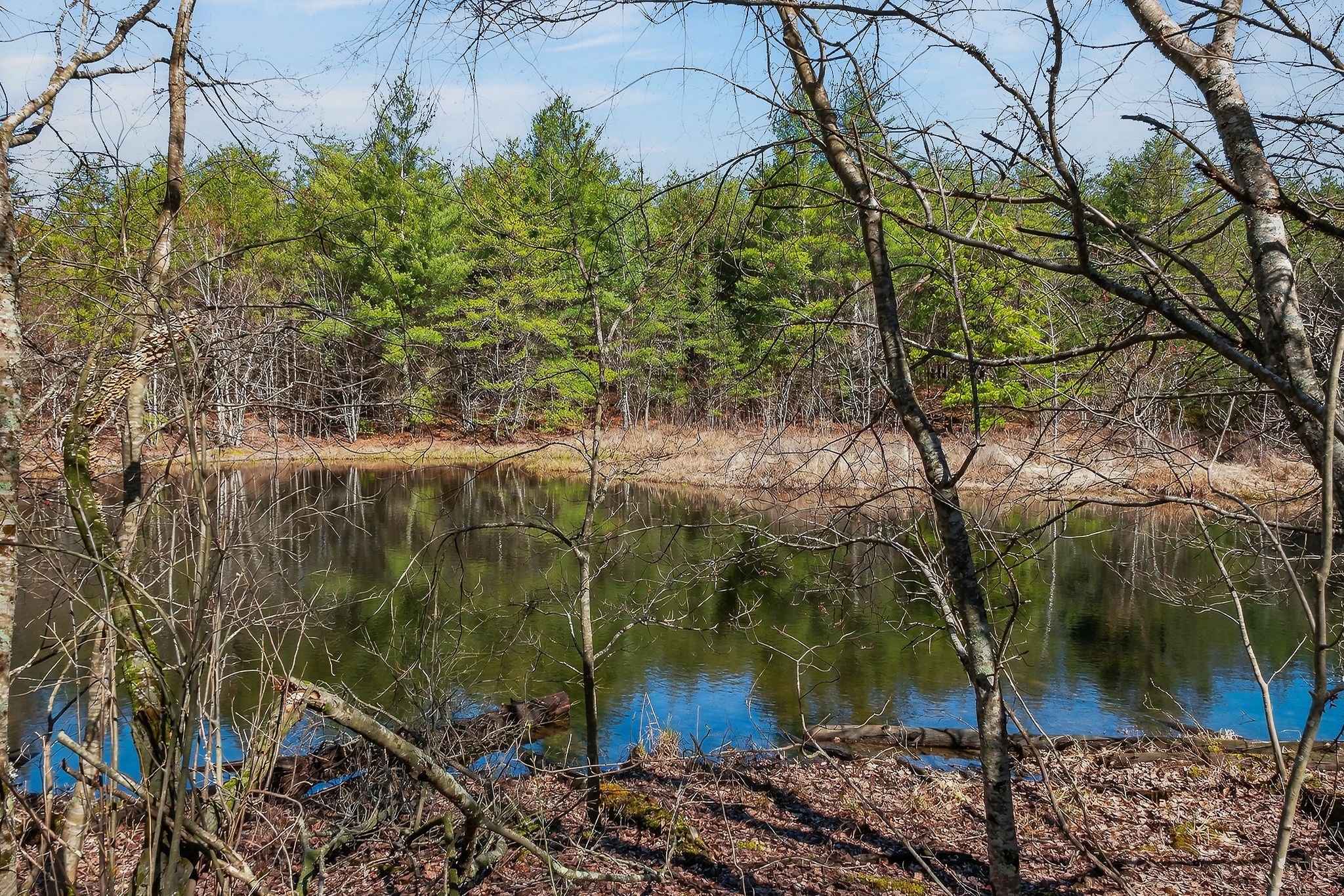 0 Rocky River Road Spencer, TN 38585 - Photo 27 of 60