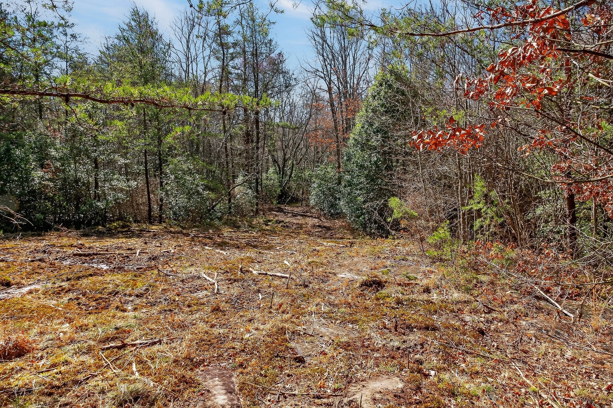 0 Rocky River Road Spencer, TN 38585 - Photo 29 of 60