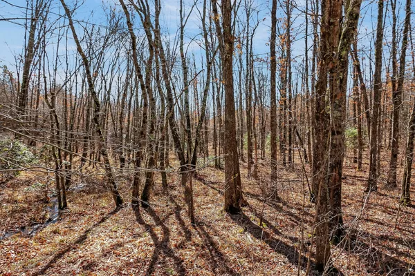 a view of swimming pool