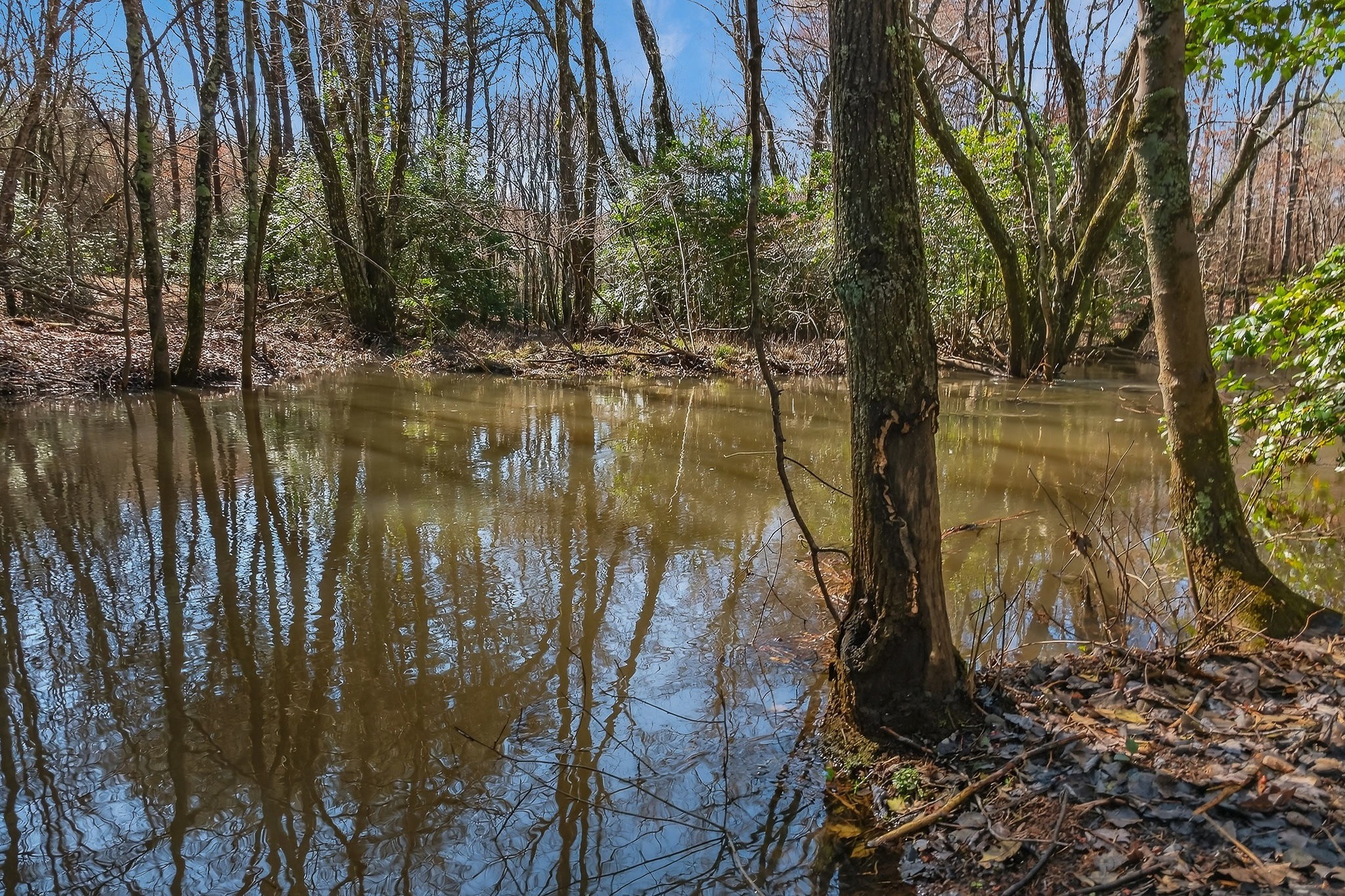 0 Rocky River Road Spencer, TN 38585 - Photo 31 of 60