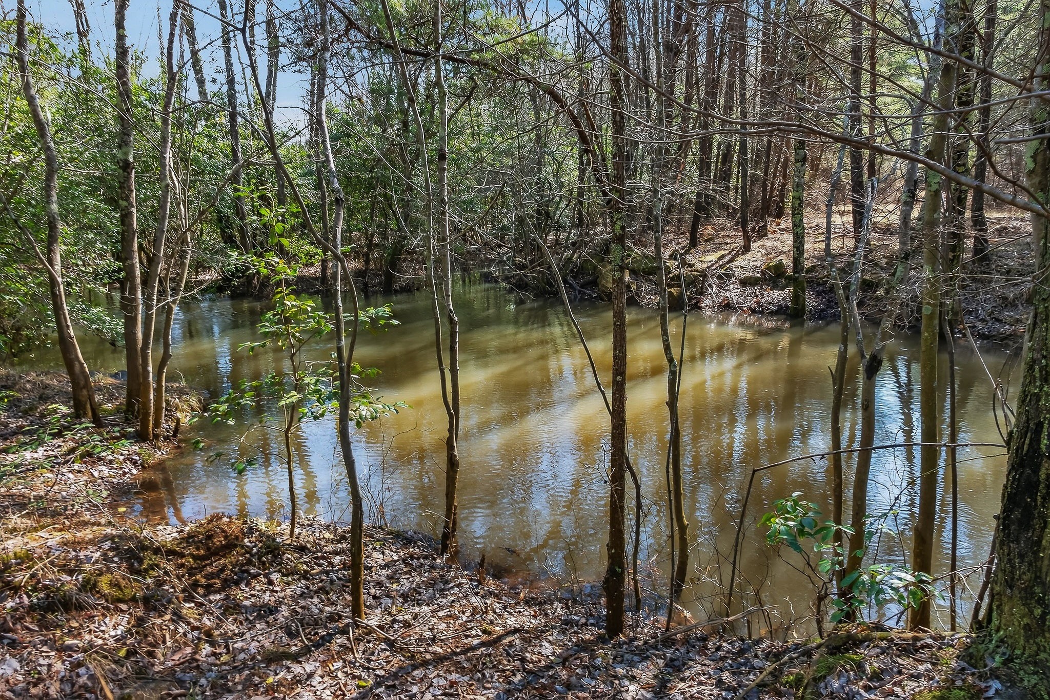 0 Rocky River Road Spencer, TN 38585 - Photo 32 of 60