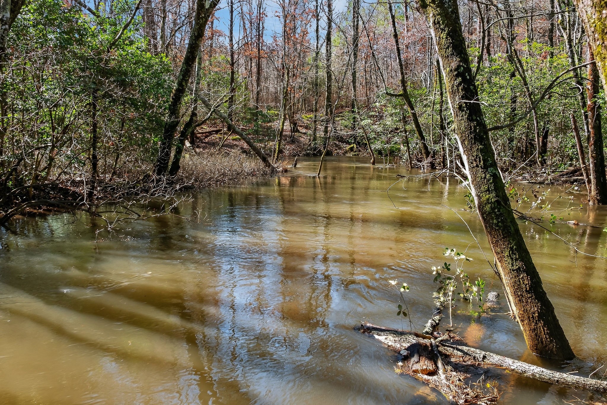 0 Rocky River Road Spencer, TN 38585 - Photo 34 of 60