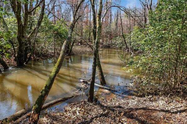 a view of a dry yard with trees