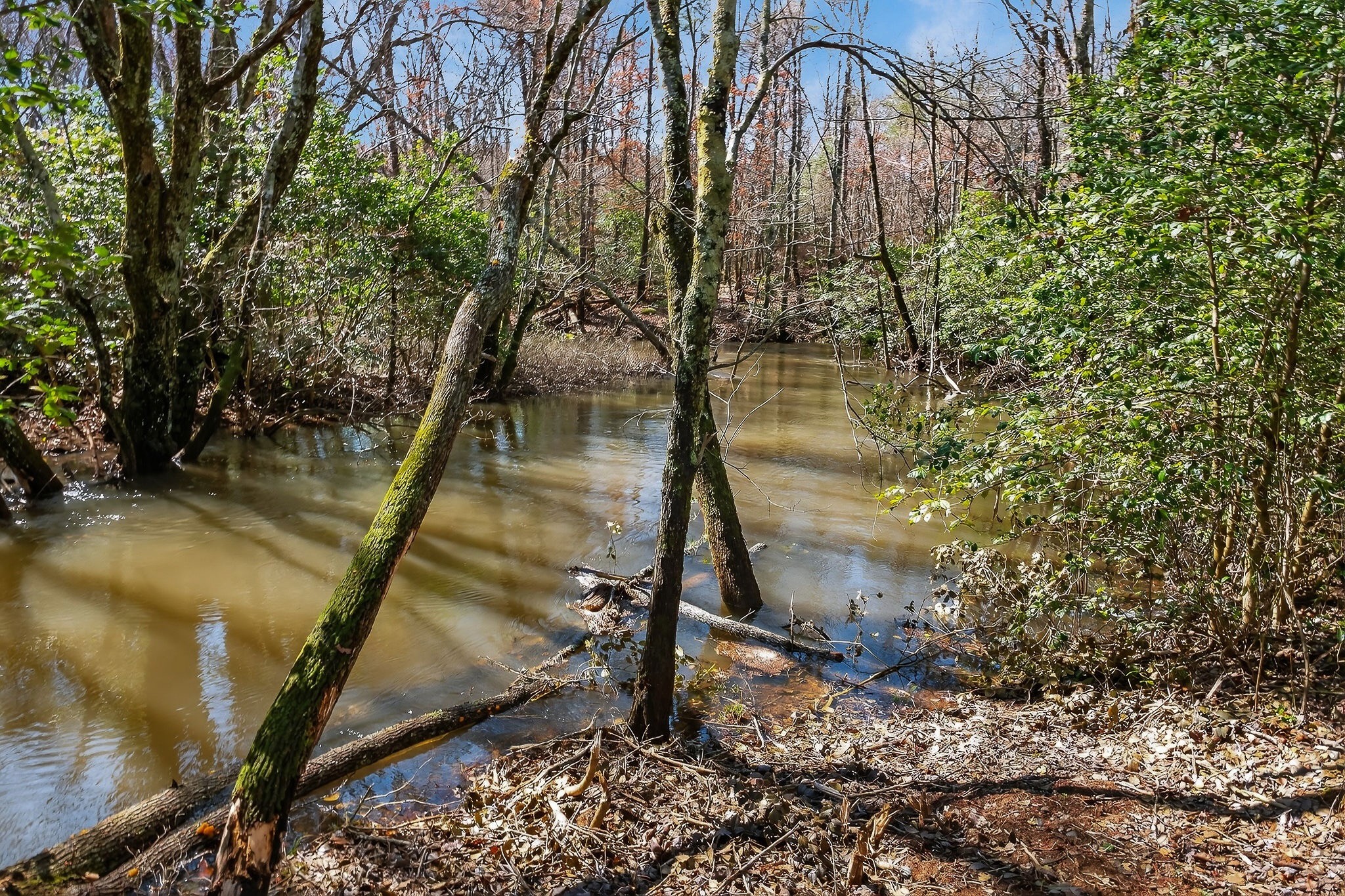 0 Rocky River Road Spencer, TN 38585 - Photo 35 of 60