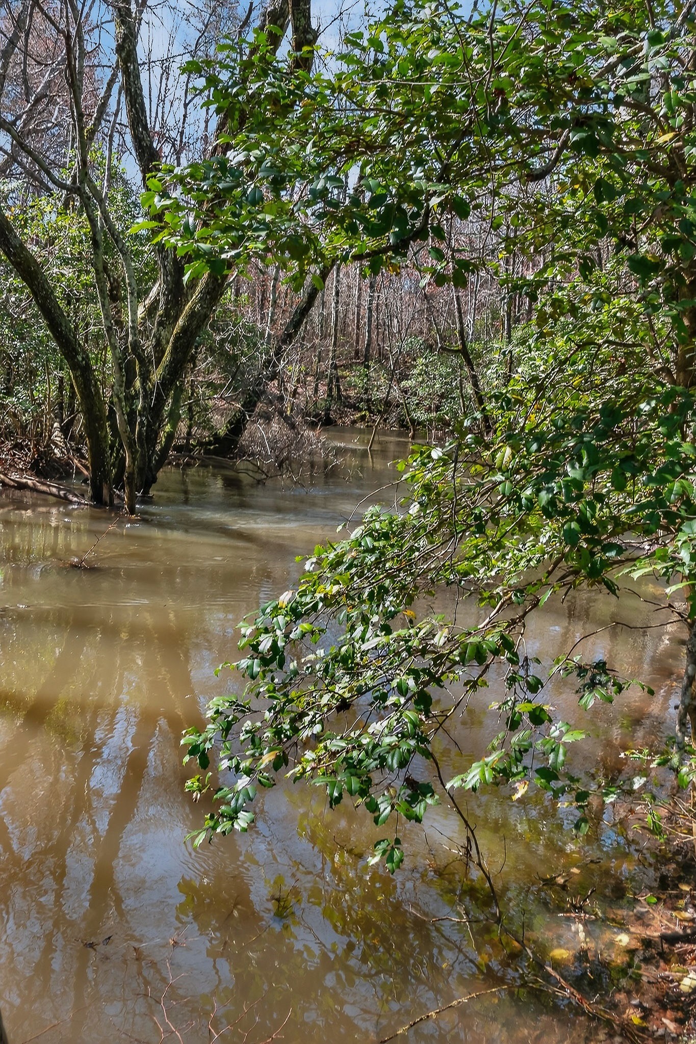 0 Rocky River Road Spencer, TN 38585 - Photo 36 of 60