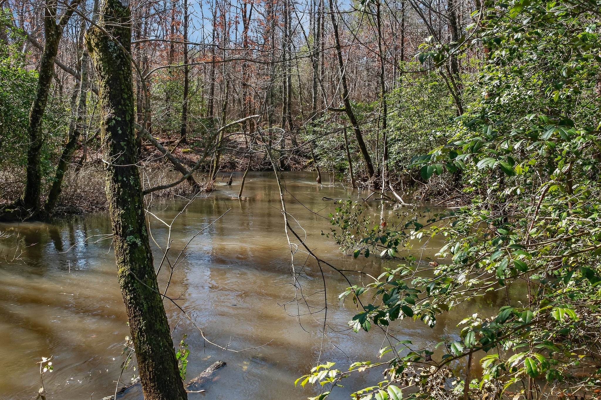 0 Rocky River Road Spencer, TN 38585 - Photo 4 of 60