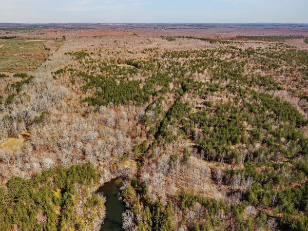 a view of beach and ocean