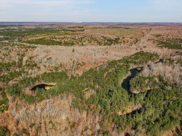 a view of city with ocean