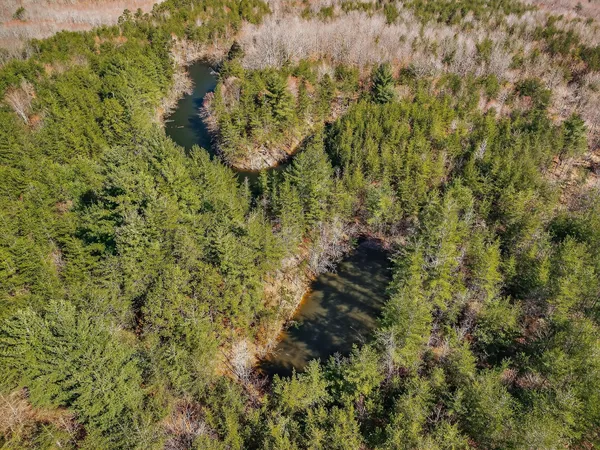 a view of a lake with a tree