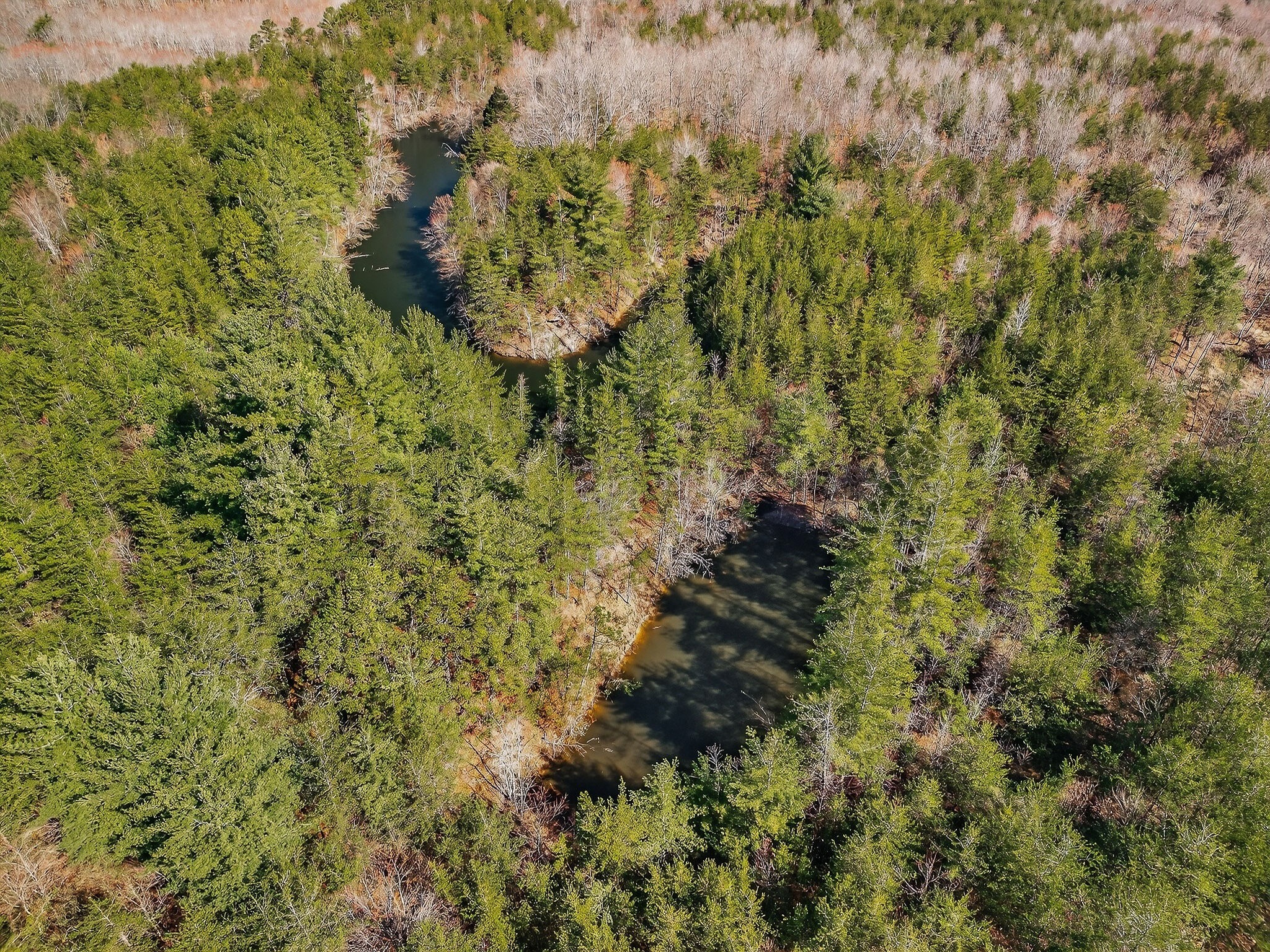 0 Rocky River Road Spencer, TN 38585 - Photo 47 of 60