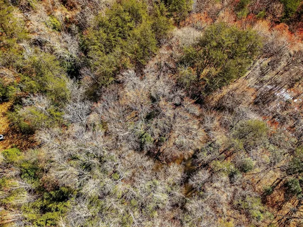 a view of a city with lush green forest