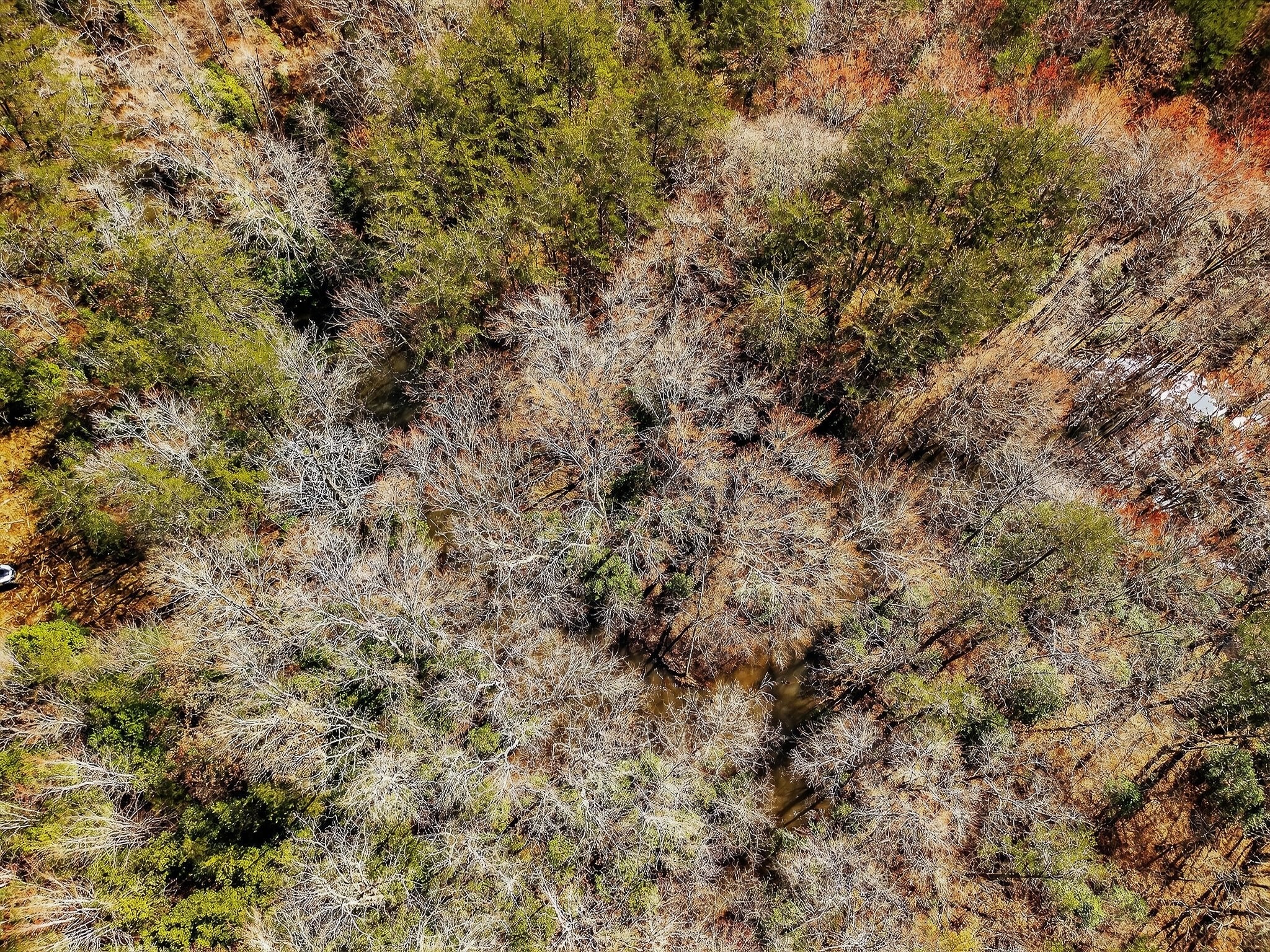 0 Rocky River Road Spencer, TN 38585 - Photo 48 of 60