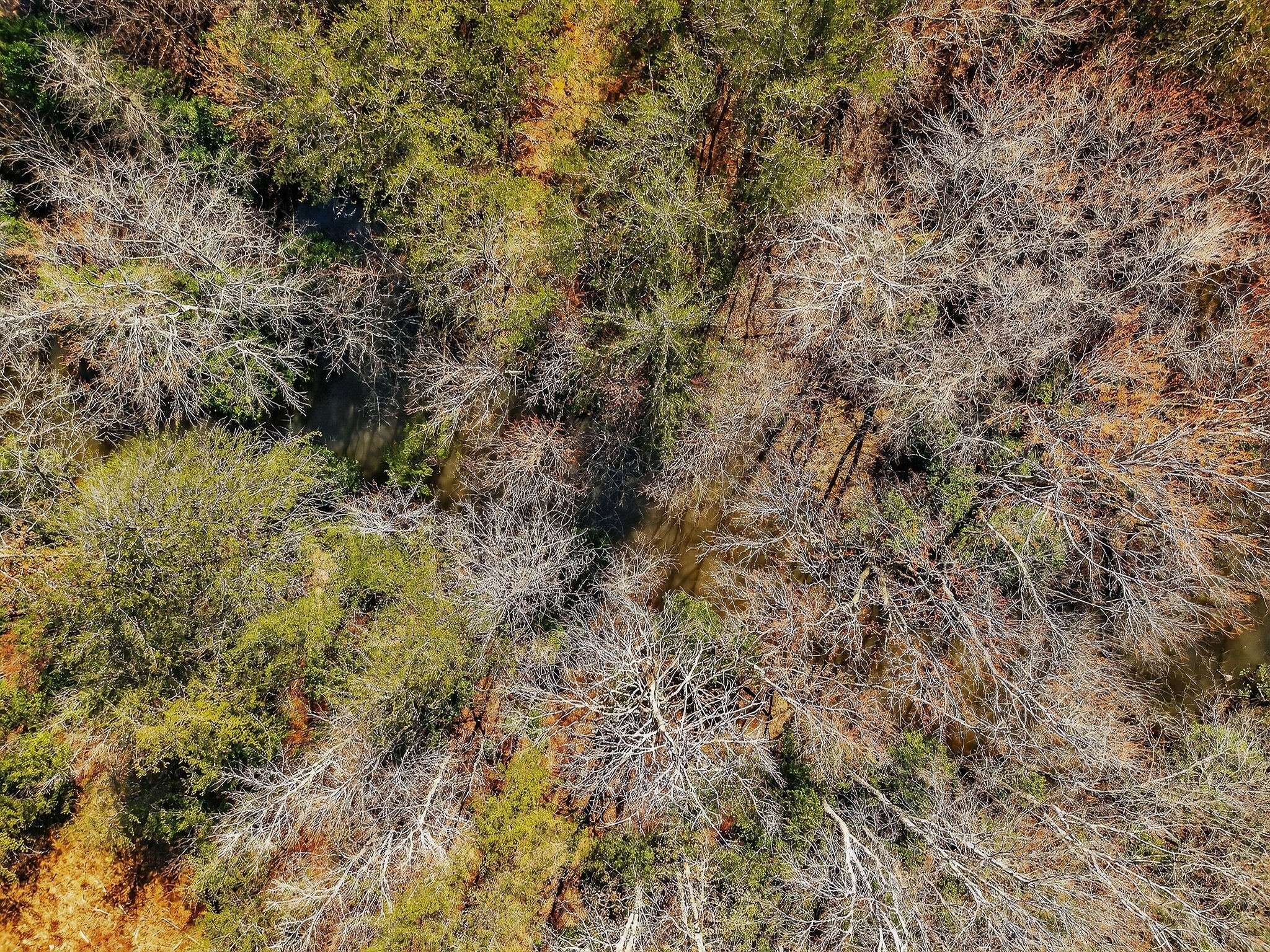 0 Rocky River Road Spencer, TN 38585 - Photo 49 of 60