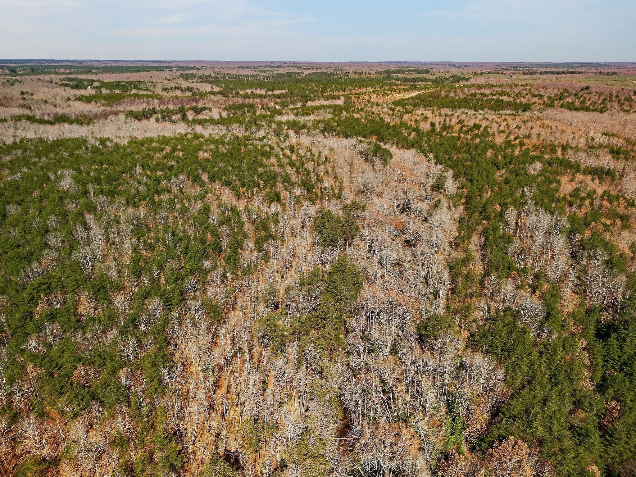 0 Rocky River Road Spencer, TN 38585 - Photo 50 of 60