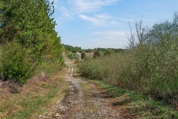 a view of a yard with trees in front of it