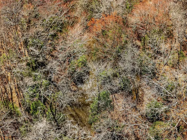 $743,700 | 0 Rocky River Road, Spencer, TN 38585