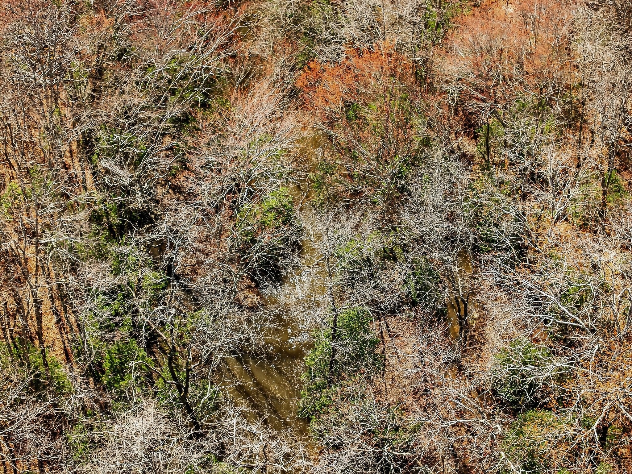 0 Rocky River Road Spencer, TN 38585 - Photo 52 of 60