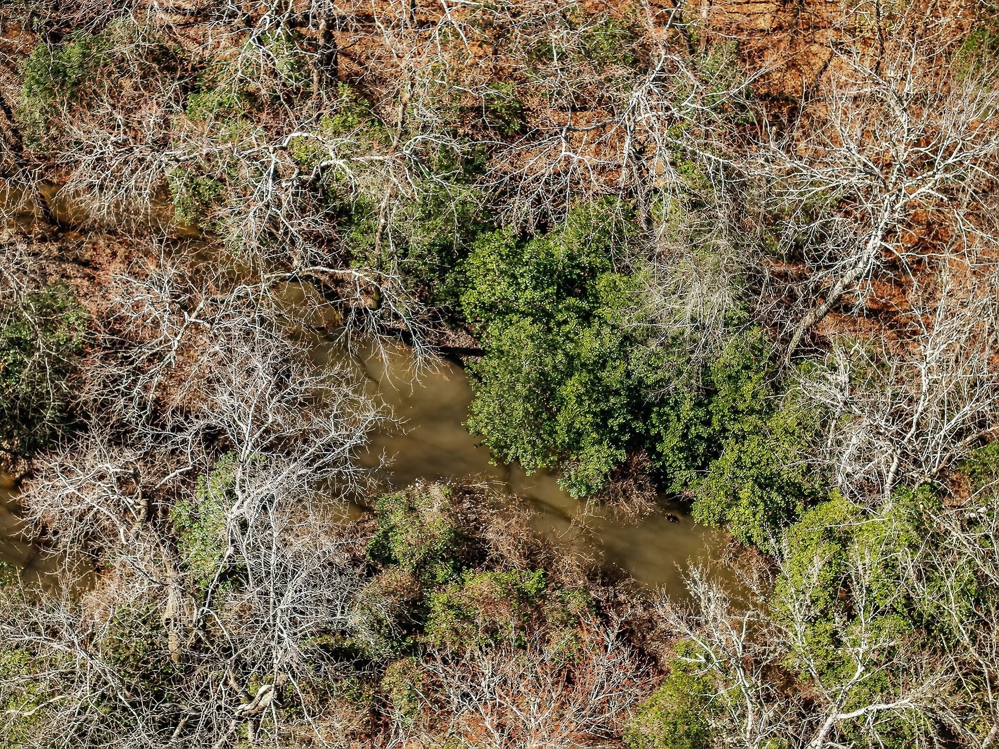 0 Rocky River Road Spencer, TN 38585 - Photo 53 of 60