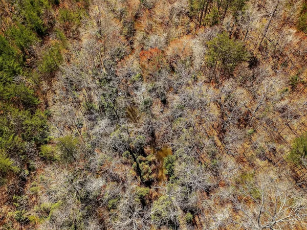 $743,700 | 0 Rocky River Road, Spencer, TN 38585