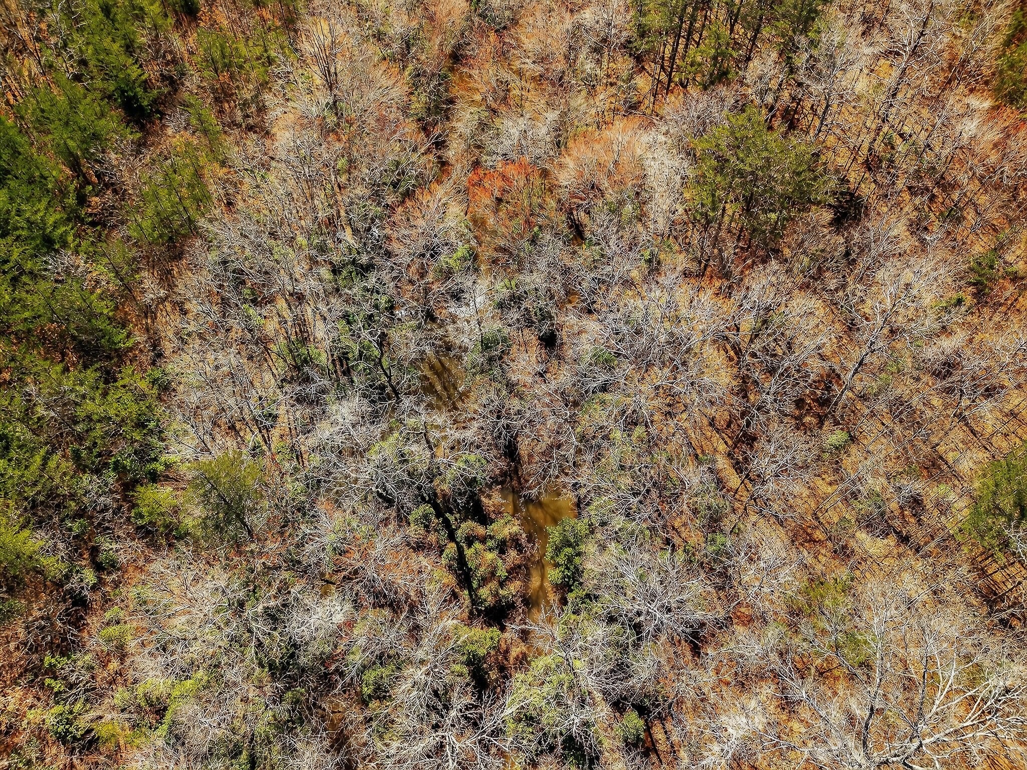 0 Rocky River Road Spencer, TN 38585 - Photo 54 of 60