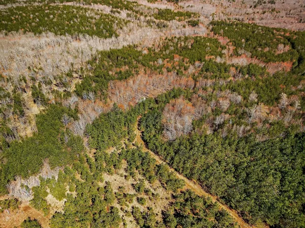 $743,700 | 0 Rocky River Road, Spencer, TN 38585