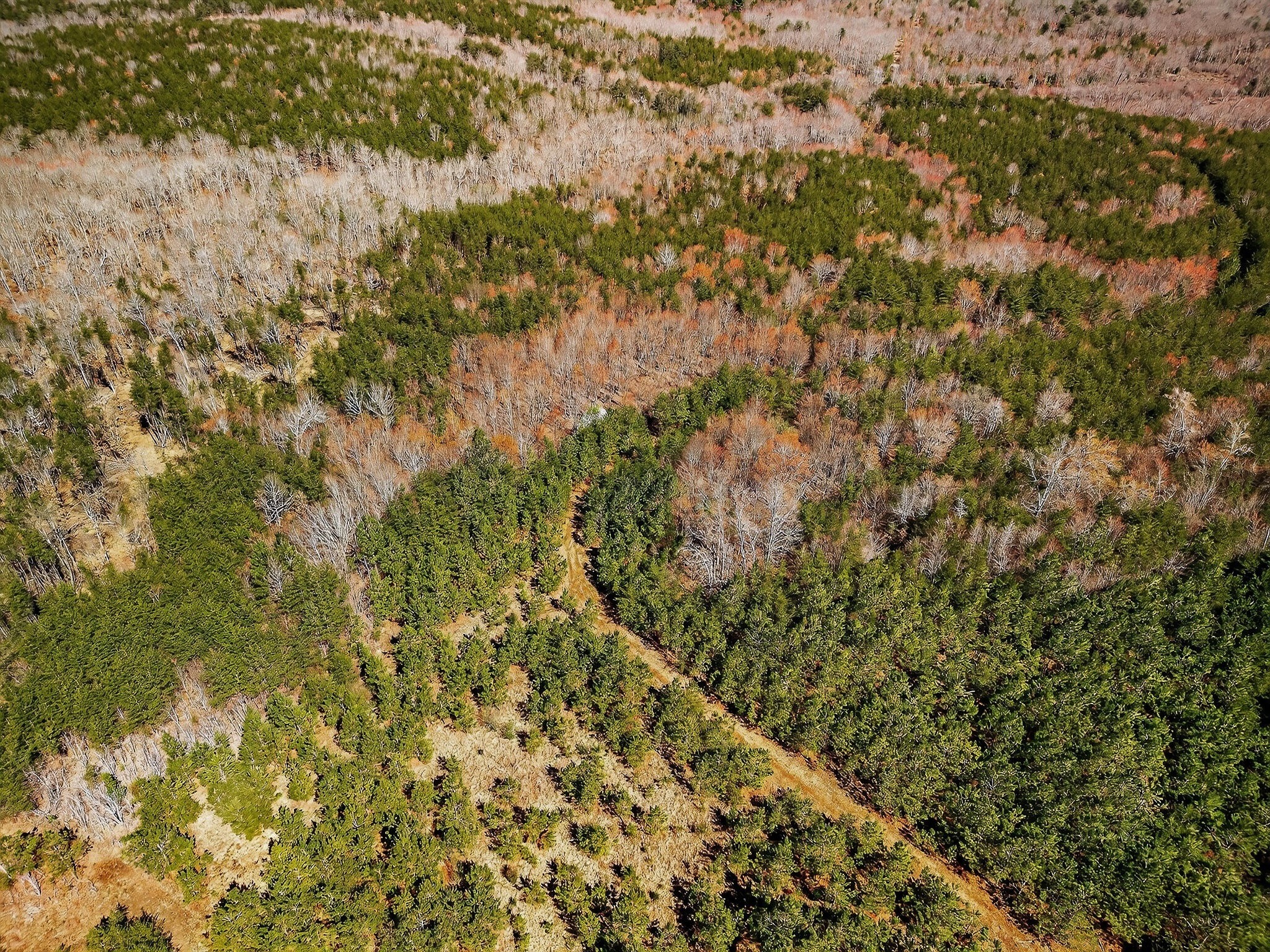 0 Rocky River Road Spencer, TN 38585 - Photo 59 of 60
