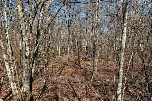 $743,700 | 0 Rocky River Road, Spencer, TN 38585