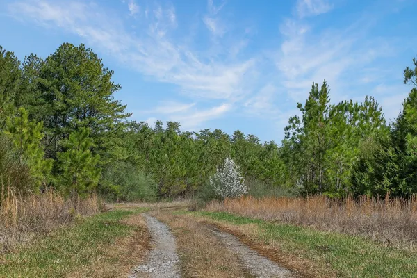a view of a lake with a tree in the background