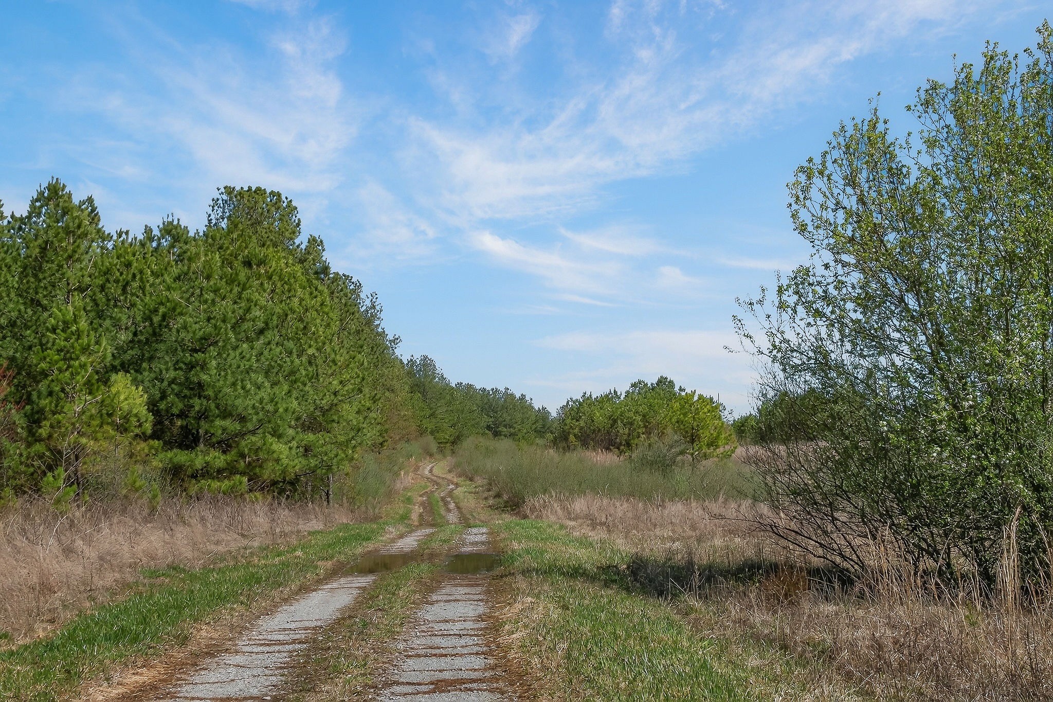 0 Rocky River Road Spencer, TN 38585 - Photo 8 of 60