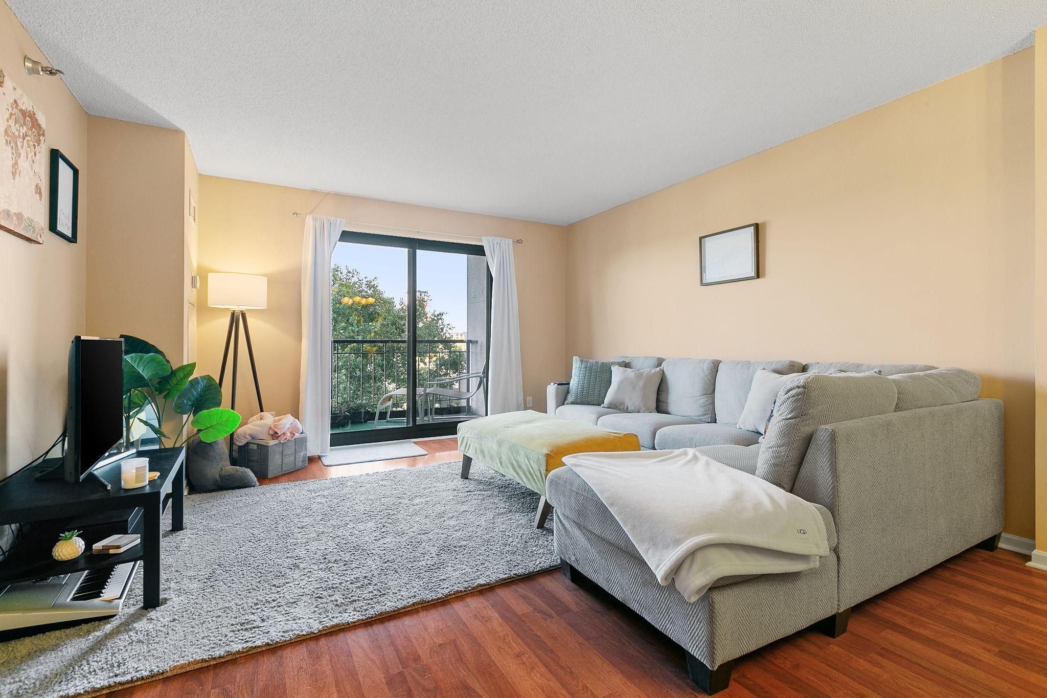 401 South 1st Street, Unit 213 Minneapolis, MN 55401 - Photo 4 of 56