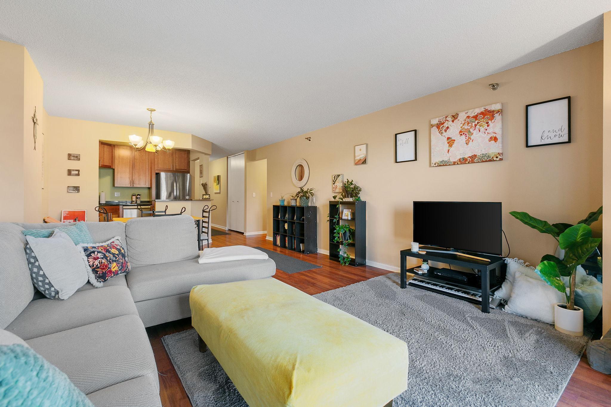 401 South 1st Street, Unit 213 Minneapolis, MN 55401 - Photo 5 of 56