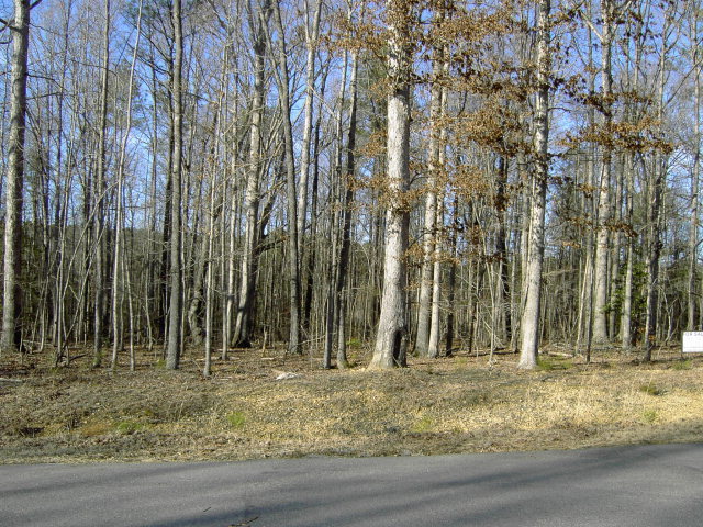 Primary Photo