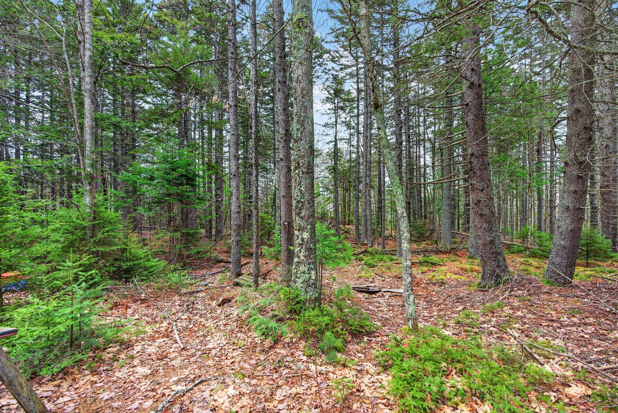 67 Granite Farm Road Brunswick, ME 04011 - Photo 6 of 11 DSC04867