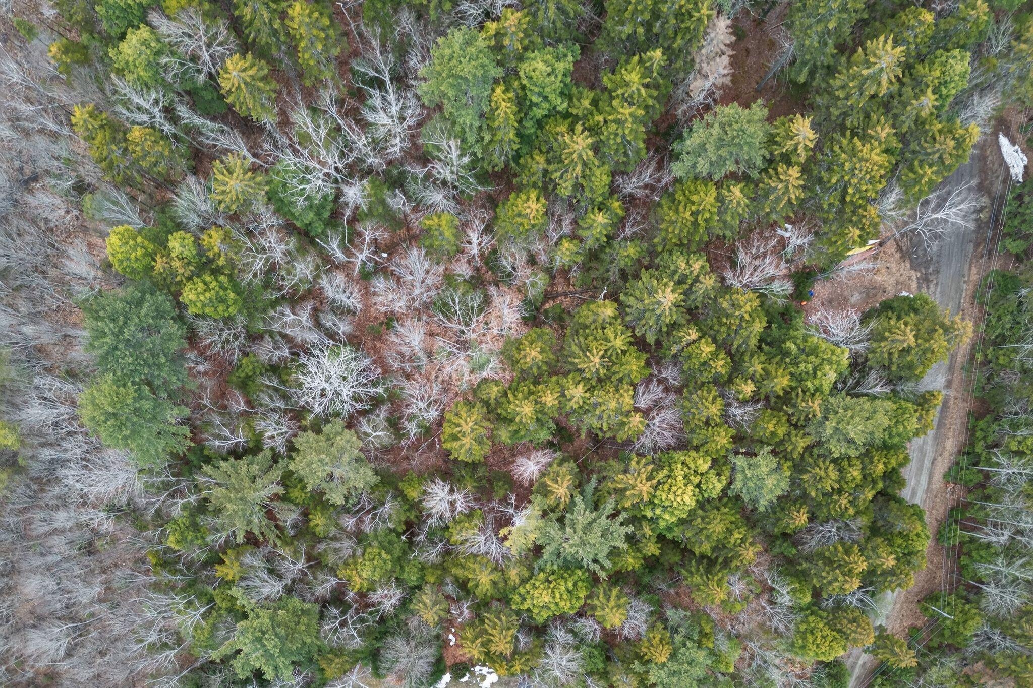 67 Granite Farm Road Brunswick, ME 04011 - Photo 8 of 11 67 Granite 001_DJI_20260407104629_0343_D