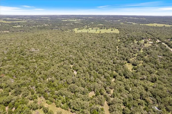 a view of city and ocean