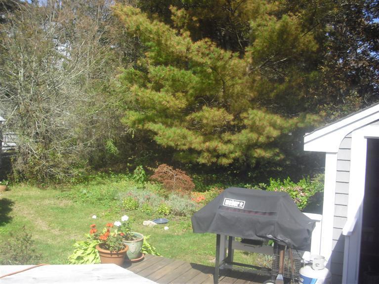 19 Uncle Henrys Road Mashpee, MA 02649 - Photo 3 of 15 a backyard of a house with yard and outdoor seating