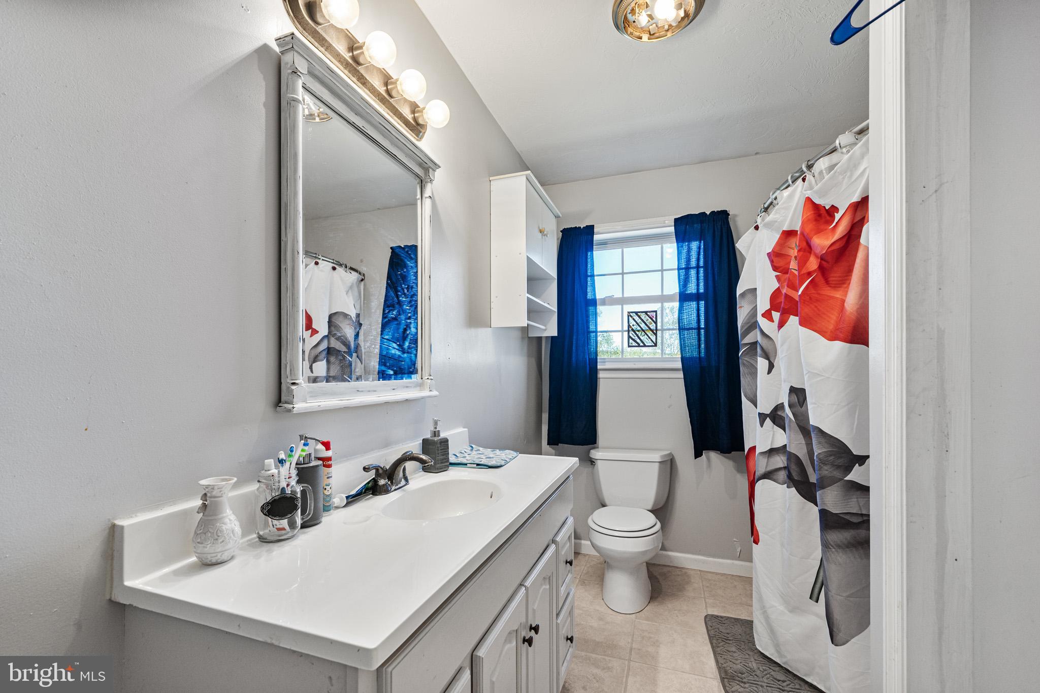 225 Pine Ridge Road Aspers, PA 17304 - Photo 19 of 42 a bathroom with a sink toilet and shower