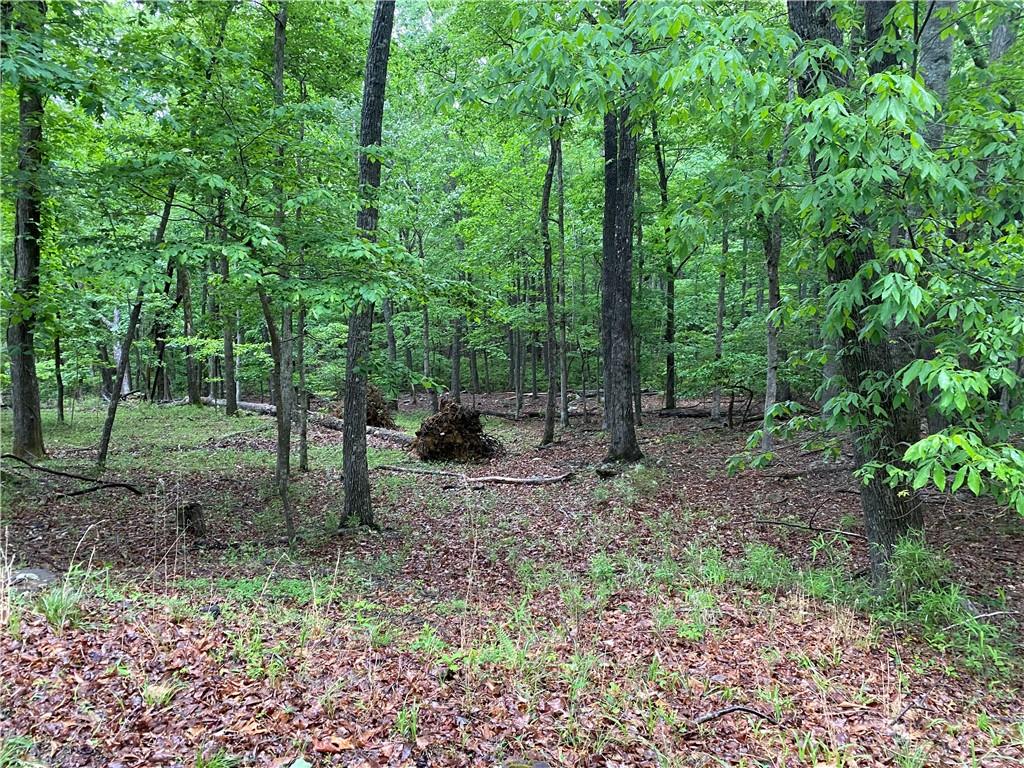 0 Denny Ridge Road, Jasper, GA 30143 Compass