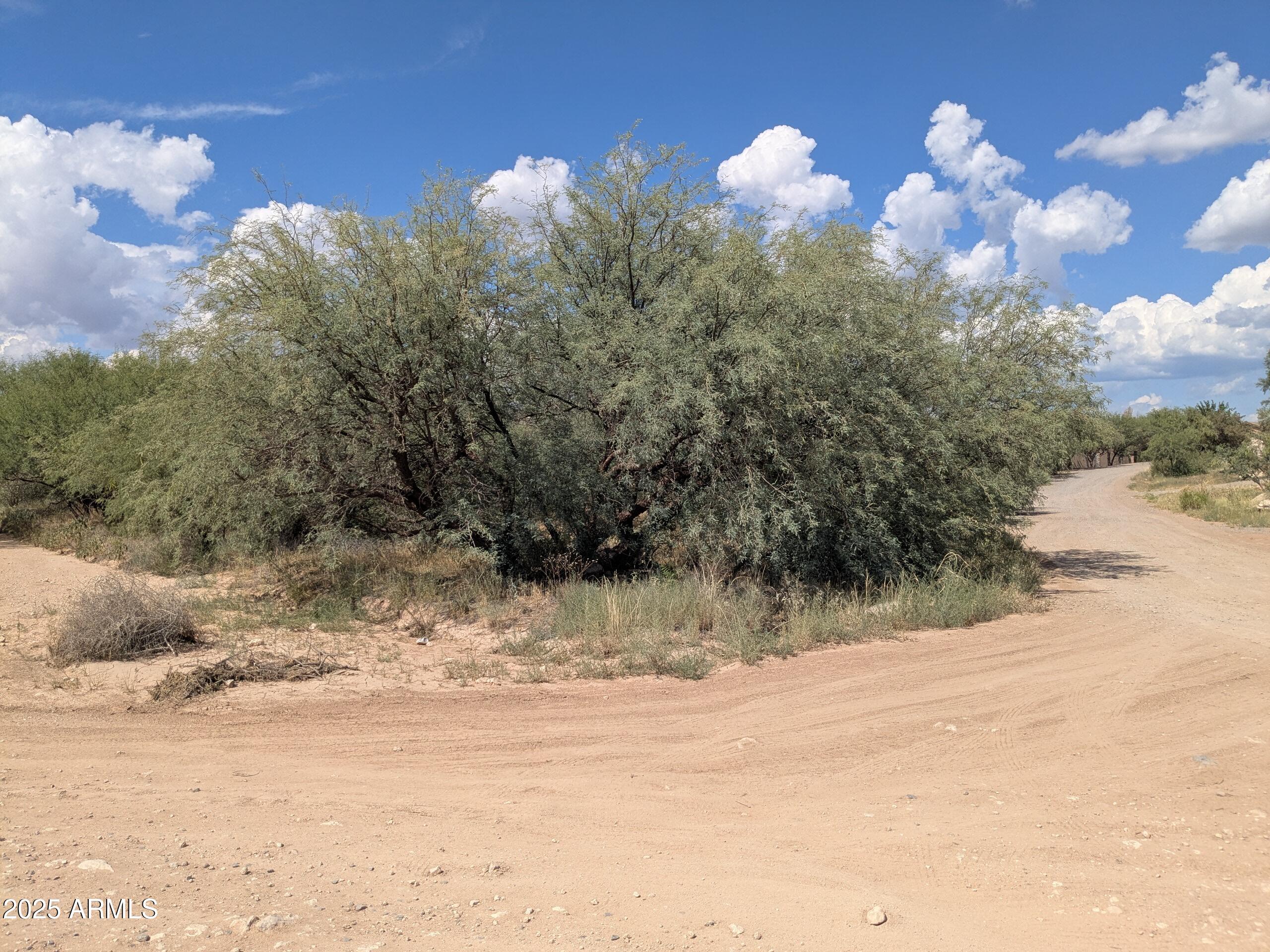 a view of a backyard of a house