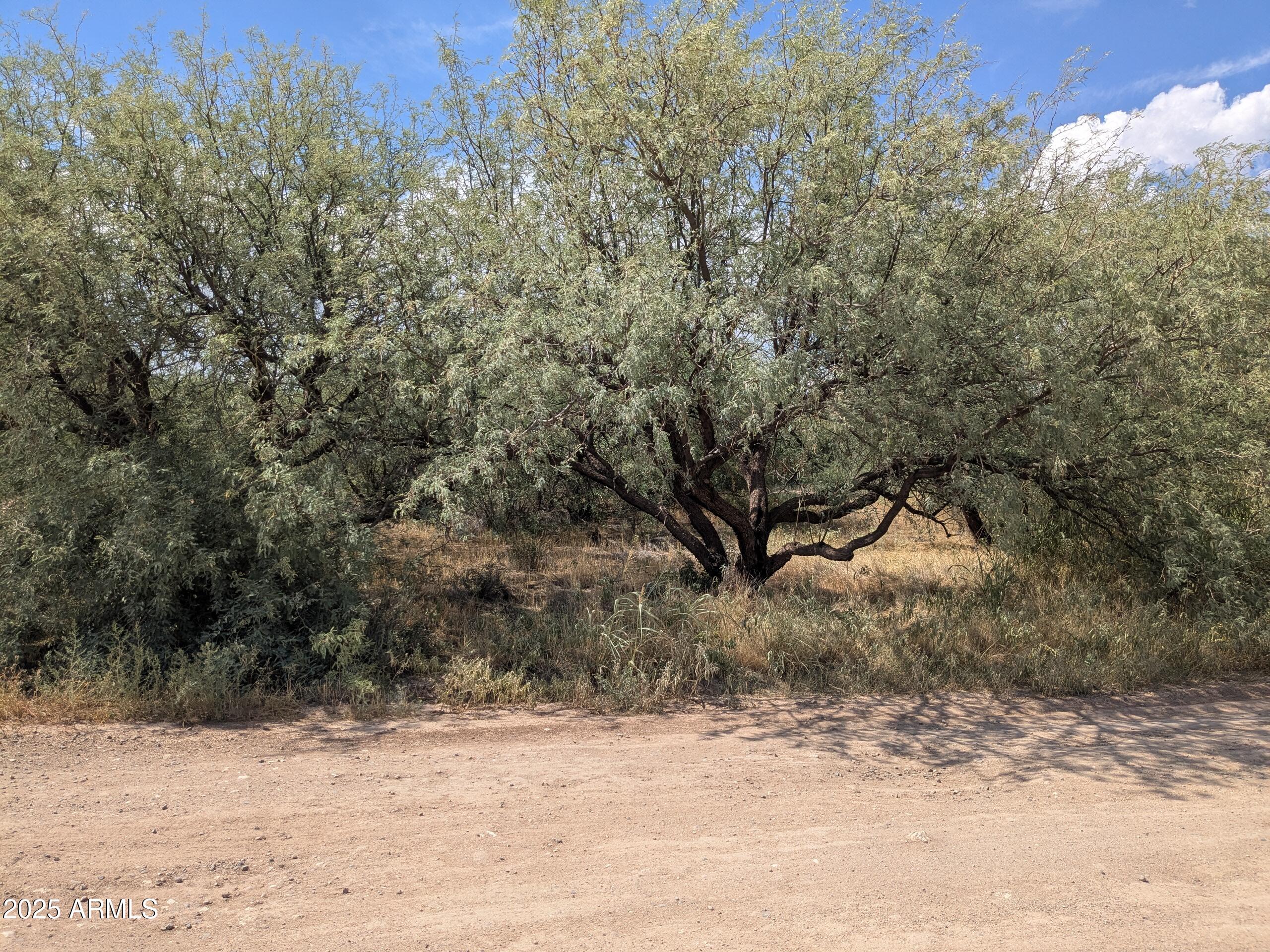 5540 Debbie Lane, Unit 332 Rimrock, AZ 86335 - Photo 2 of 3 a view of a yard covered with snow in front of house