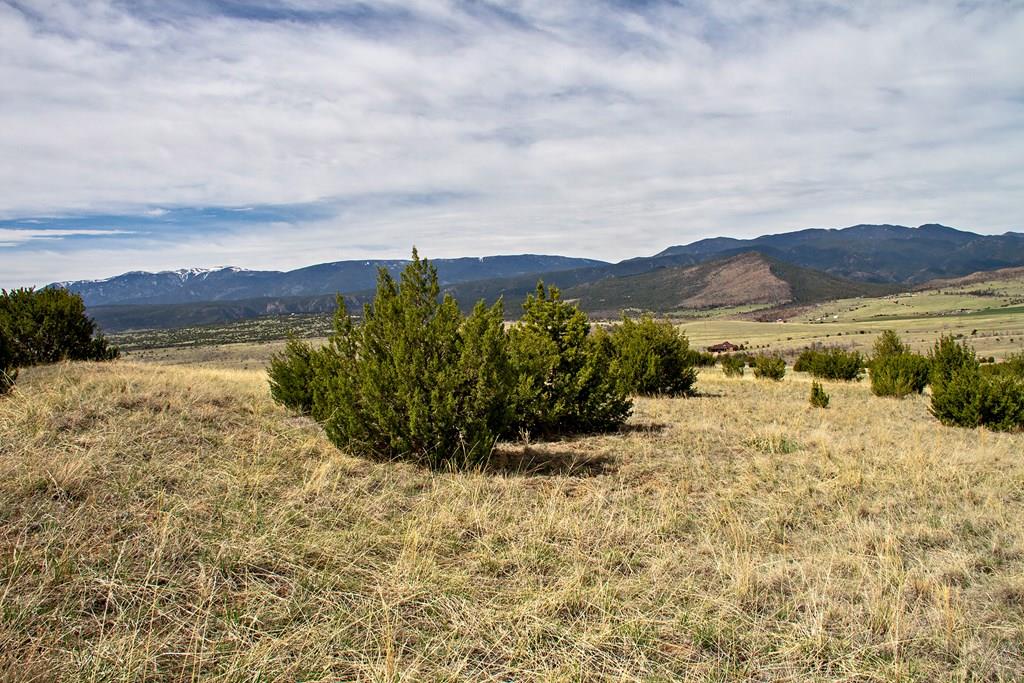 Tbd Garrett Road Beulah, CO 81023 - Photo 19 of 42 Gallery Image 19