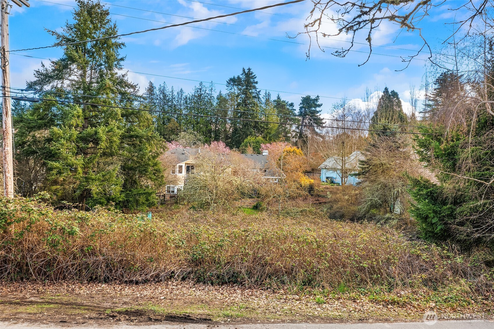 175 96th Place Southwest Vashon, WA 98070 - Photo 2 of 7 Gallery Image 2