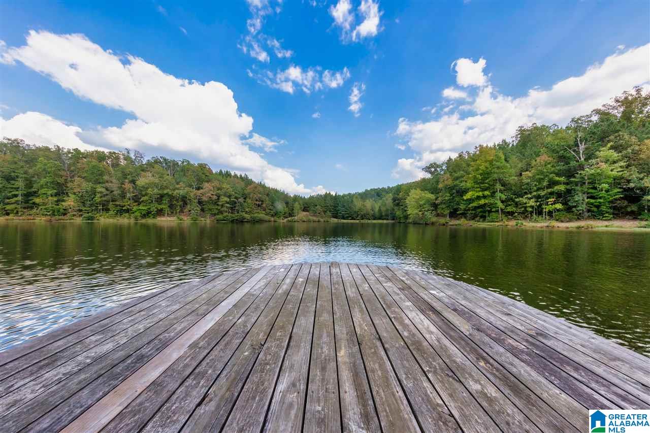 511 Farm Lake Road Trussville, AL 35173 - Photo 43 of 49