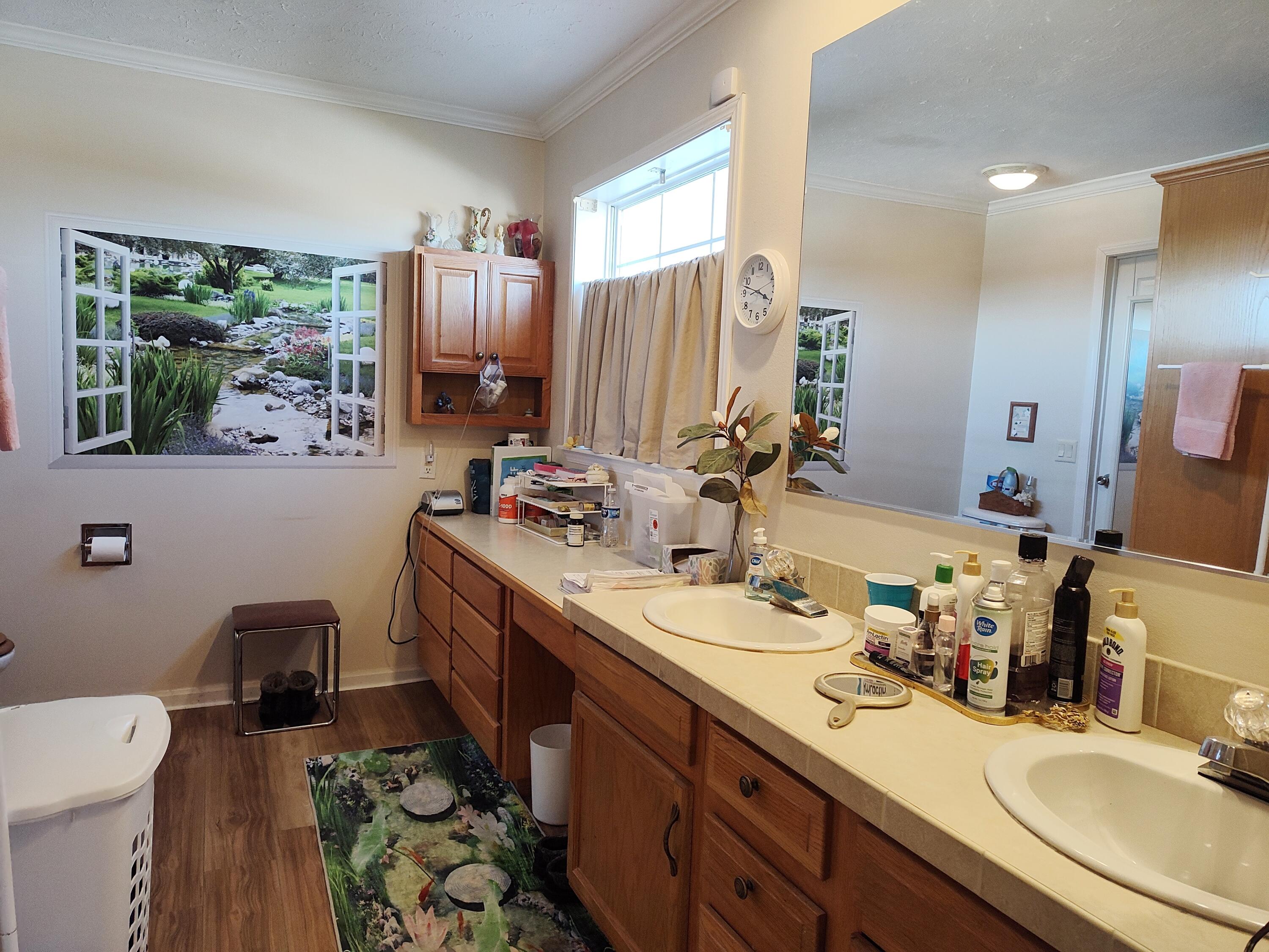 1672 East 355th Road Bolivar, MO 65613 - Photo 39 of 92 Master bath vanity