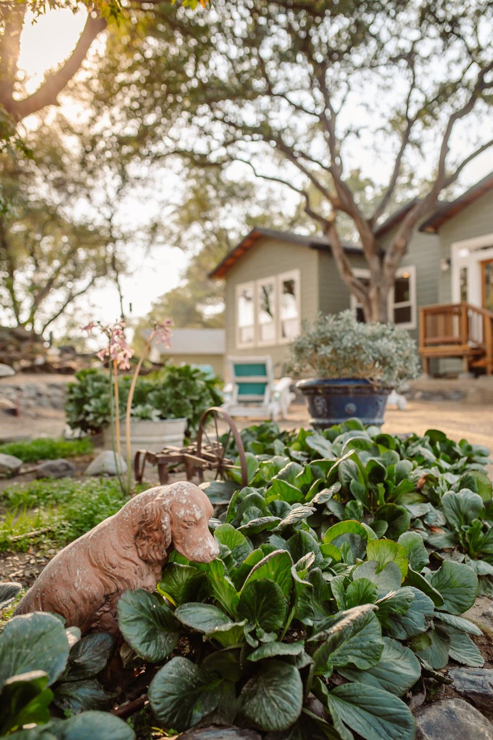 30787 Little Sandy Road Prather, CA 93651 - Photo 75 of 84 Gallery Image 75