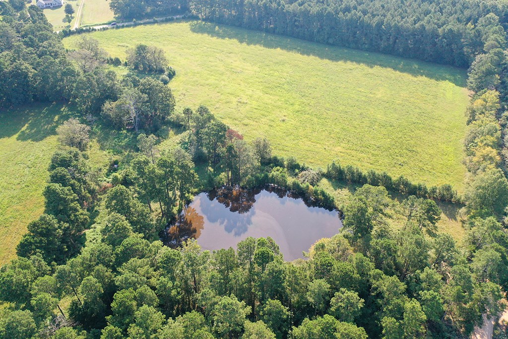 6163 Fruit Hill Road Saluda, SC 29138 - Photo 3 of 17 Gallery Image 3