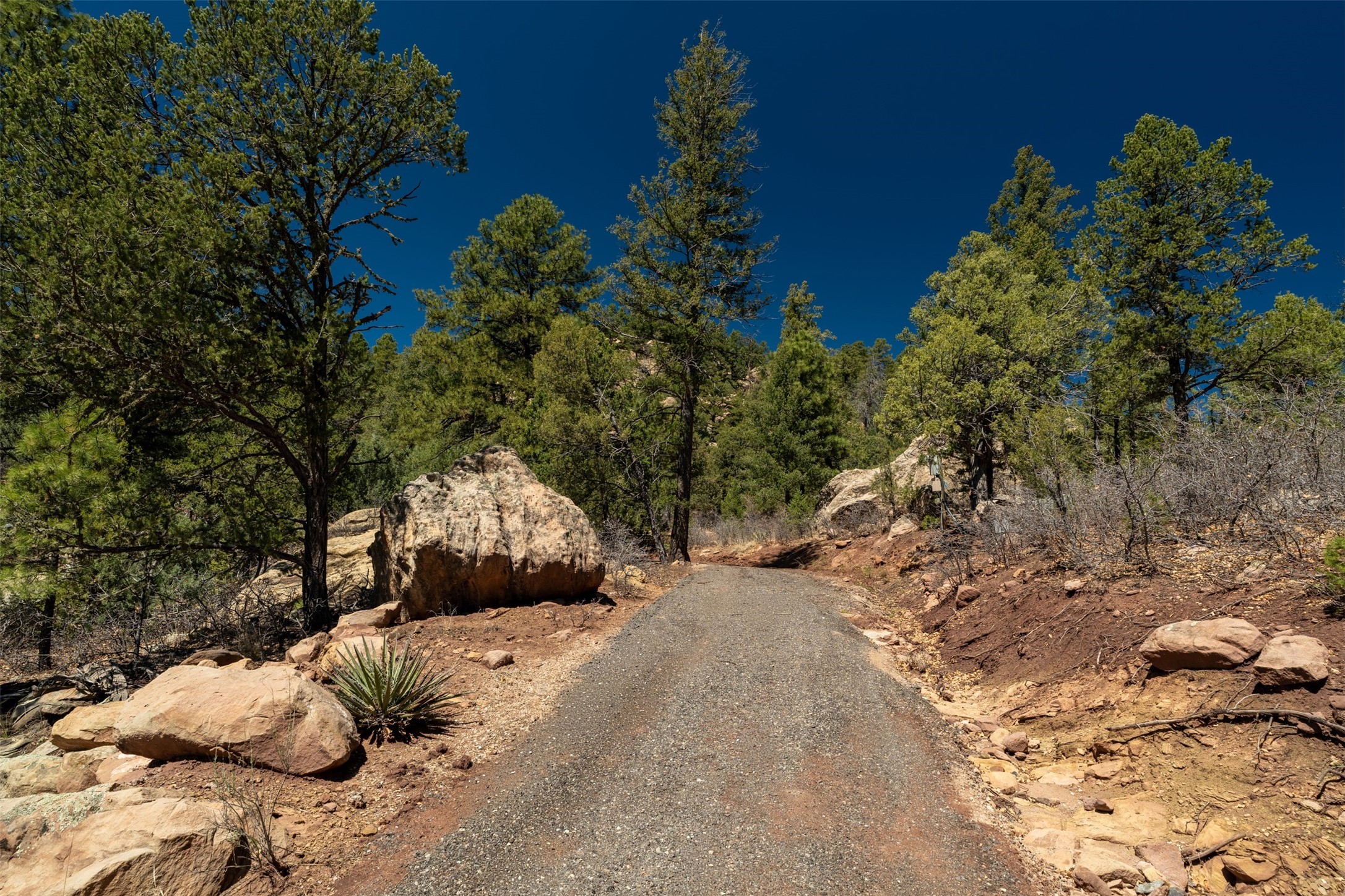30 Monte La Cueva Road Glorieta, NM 87535 - Photo 88 of 91